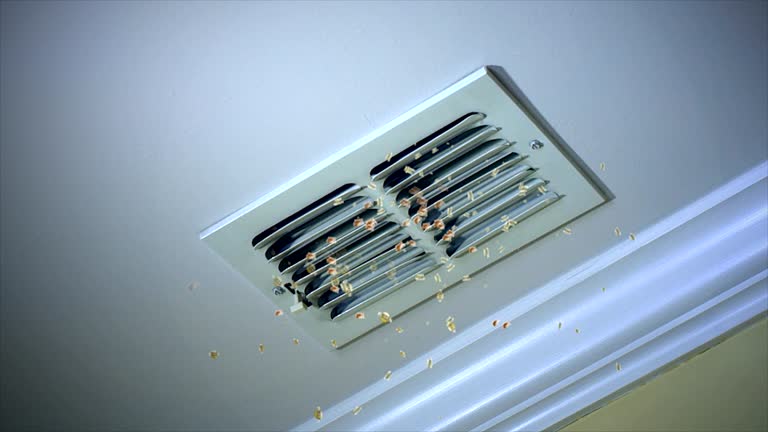Best Home Air Vent Cleaning  in White Settlement, TX