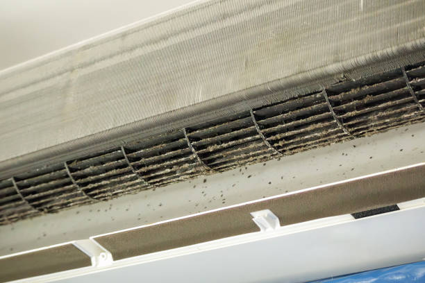 Best Air Duct Cleaning Near Me  in White Settlement, TX